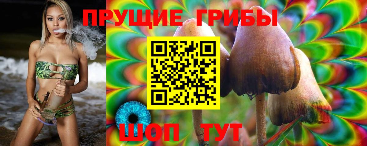 Среднеуральск  Галлюциногенные грибы Psilocybe  Псилоцибиновые грибы мухоморы  Вход с VPN 